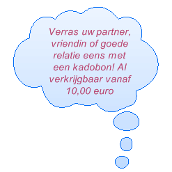 wenkbrauwen harsen rotterdam